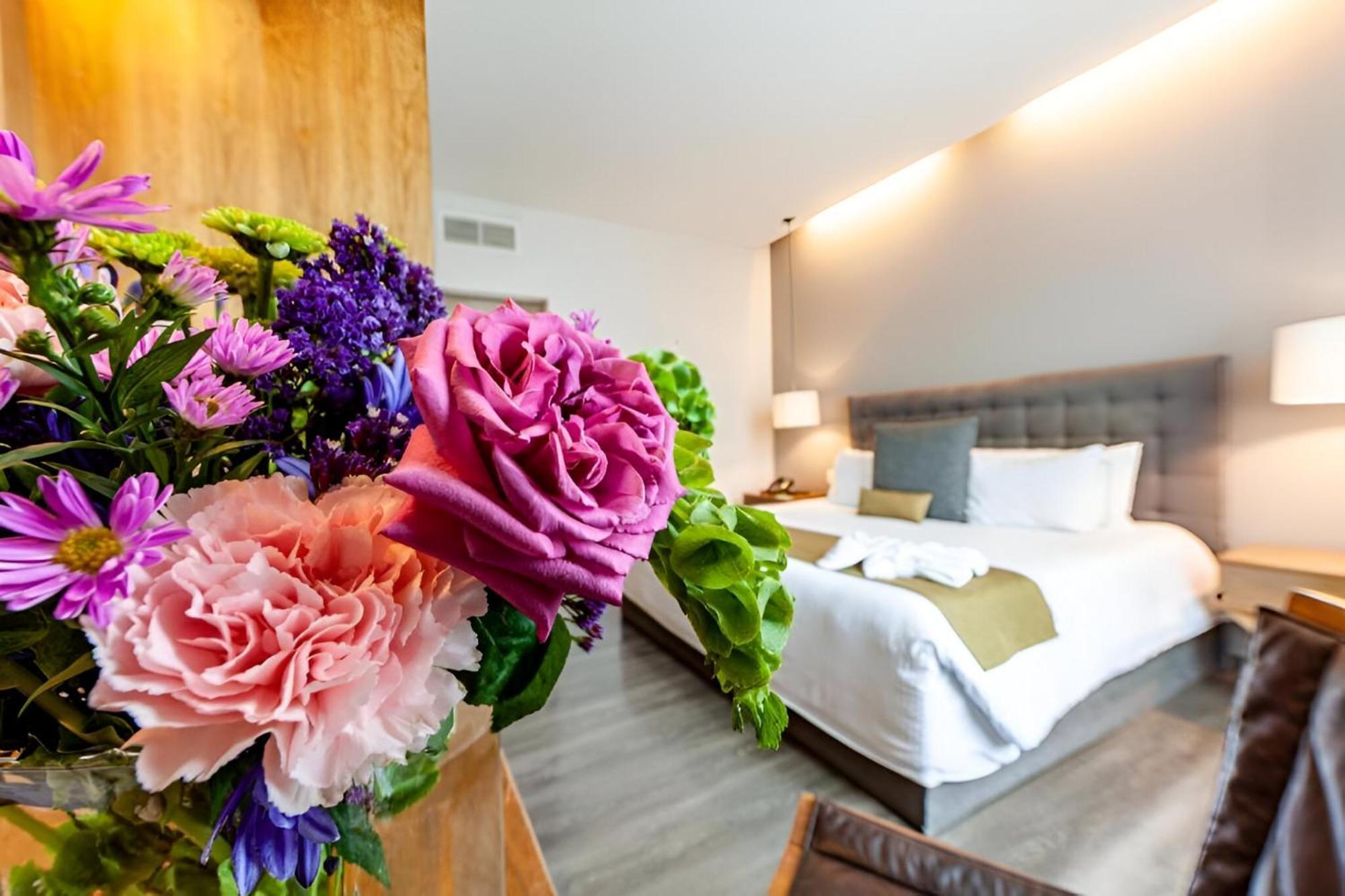 Suites Del Angel Mexico by Eksteriør bilde